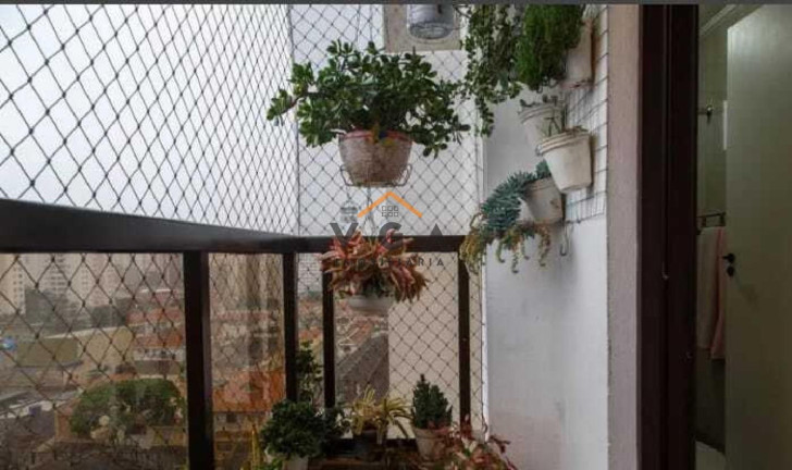 Imagem Apartamento com 3 Quartos à Venda, 84 m² em Vila Gomes Cardim - São Paulo Imagem Apartamento com 3 Quartos à Venda, 84 m² em Vila Gomes Cardim - São Paulo