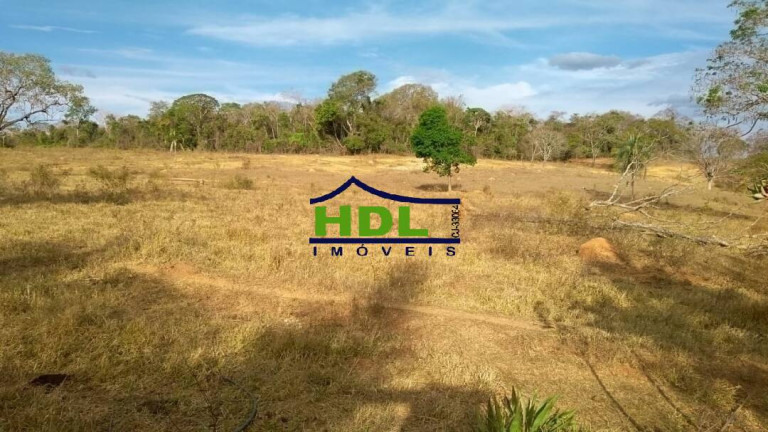 Imagem Fazenda à Venda, 32 m² em Zona Rural - Professor Jamil