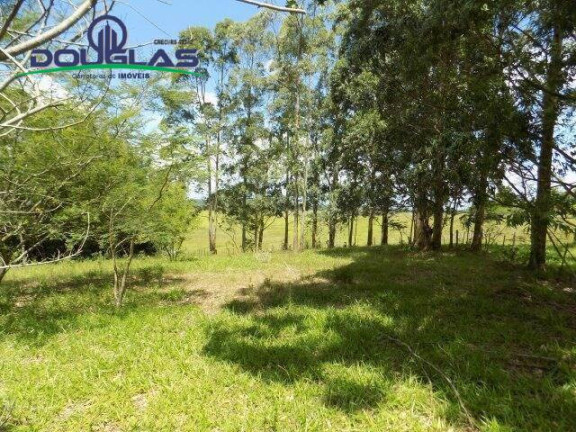 Imagem Chácara com 2 Quartos à Venda, 190.000 m² em Viamão