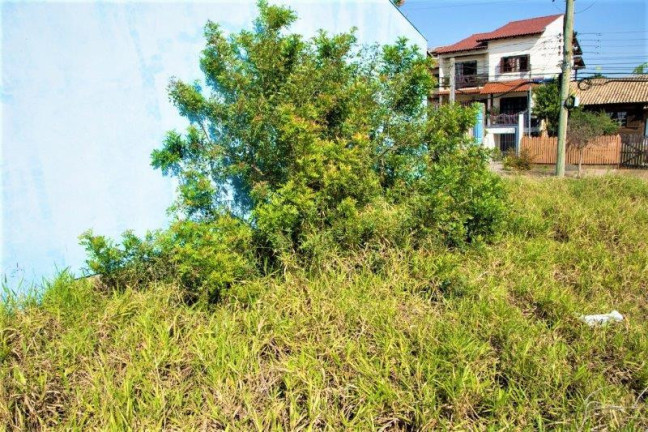 Imagem Terreno à Venda, 309 m² em Alto Petropolis - Porto Alegre Imagem Terreno à Venda, 309 m² em Alto Petropolis - Porto Alegre