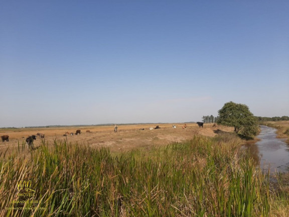 Imagem Imóvel à Venda, 48 m² em Dores De Macabu - Campos Dos Goytacazes Imagem Imóvel à Venda, 48 m² em Dores De Macabu - Campos Dos Goytacazes
