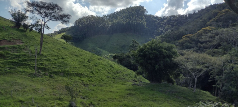 Imagem Chácara com 2 Quartos à Venda, 100 m² em Centro - Natividade Da Serra Imagem Chácara com 2 Quartos à Venda, 100 m² em Centro - Natividade Da Serra