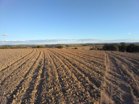 Imagem Fazenda à Venda, em Centro - Itaberá Imagem Fazenda à Venda, em Centro - Itaberá
