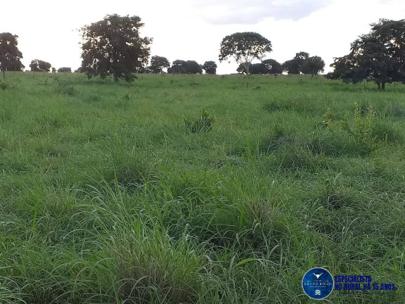 Imagem Fazenda à Venda, 46 m² em Zona Rural - Matrinchã Imagem Fazenda à Venda, 46 m² em Zona Rural - Matrinchã