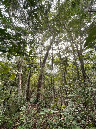 Imagem Imóvel à Venda, em São Félix Do Tocantins/to - São Félix Do Tocantins Imagem Imóvel à Venda, em São Félix Do Tocantins/to - São Félix Do Tocantins
