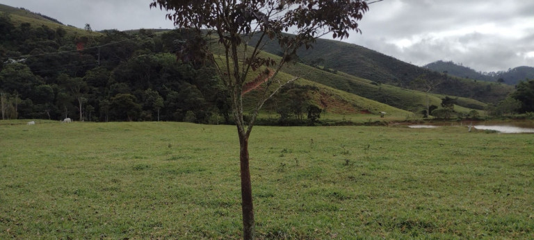 Imagem Chácara com 1 Quarto à Venda, 120 m² em Alto Do Cardoso - Pindamonhangaba Imagem Chácara com 1 Quarto à Venda, 120 m² em Alto Do Cardoso - Pindamonhangaba
