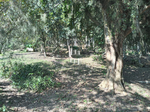 Imóvel com 1 Quarto à Venda, 46.000 m² em Ratones - Florianópolis