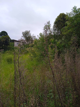 Imagem Terreno à Venda, 4.379 m² em Campo De Santana - Curitiba Imagem Terreno à Venda, 4.379 m² em Campo De Santana - Curitiba