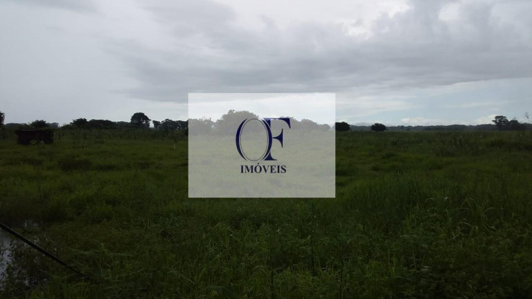 Imagem Fazenda à Venda, 24.000 m² em Pantanal - Corumbá