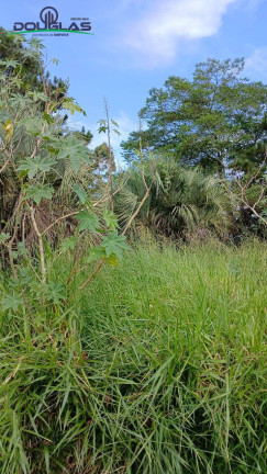 Imagem Terreno para Alugar, 550 m² em águas Claras - Viamão Imagem Terreno para Alugar, 550 m² em águas Claras - Viamão