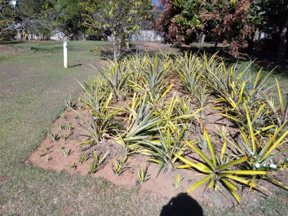 Imagem Chácara com 4 Quartos à Venda, 300 m² em Jardim São Felipe - Atibaia Imagem Chácara com 4 Quartos à Venda, 300 m² em Jardim São Felipe - Atibaia