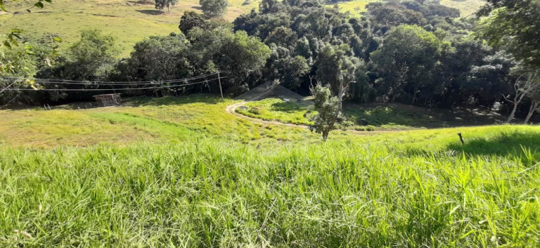 Imagem Imóvel à Venda, 3 m² em Milho Verde - Bandeira Do Sul Imagem Imóvel à Venda, 3 m² em Milho Verde - Bandeira Do Sul