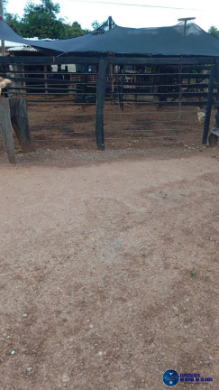 Imagem Chácara à Venda, 3 m² em Zona Rural - Heitoraí Imagem Chácara à Venda, 3 m² em Zona Rural - Heitoraí