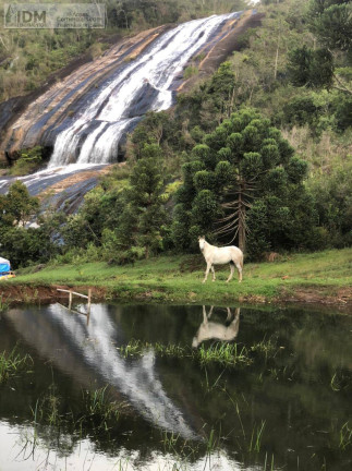 Imagem Chácara à Venda, 853.800 m² em Centro - Carvalhos Imagem Chácara à Venda, 853.800 m² em Centro - Carvalhos