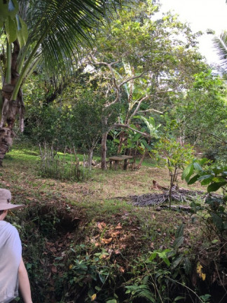 Imagem Imóvel à Venda, em Rural - Uruçuca Imagem Imóvel à Venda, em Rural - Uruçuca