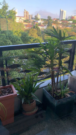 Imagem Imóvel com 4 Quartos à Venda, 240 m² em Jardim Da Saúde - São Paulo Imagem Imóvel com 4 Quartos à Venda, 240 m² em Jardim Da Saúde - São Paulo