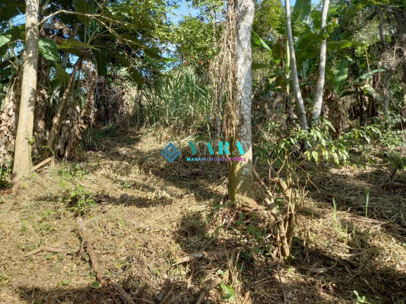 Terreno à Venda, 1.938 m² em Barra Velha - Ilhabela
