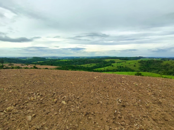 Imagem Imóvel com 6 Quartos à Venda, 847.000 m² em Centro - Itapetininga Imagem Imóvel com 6 Quartos à Venda, 847.000 m² em Centro - Itapetininga