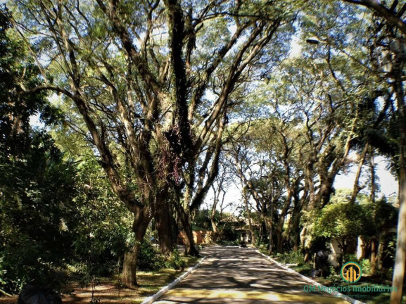 Imagem Terreno em Condomínio à Venda, 517 m² em Vila Vianna - Cotia Imagem Terreno em Condomínio à Venda, 517 m² em Vila Vianna - Cotia