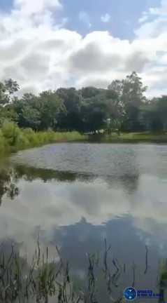 Imagem Chácara à Venda, 15 m² em Zona Rural - Matrinchã Imagem Chácara à Venda, 15 m² em Zona Rural - Matrinchã