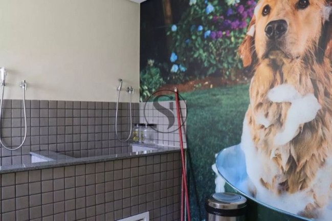 Imagem Apartamento com 3 Quartos à Venda, 70 m² em Jardim Previdência - São Paulo Imagem Apartamento com 3 Quartos à Venda, 70 m² em Jardim Previdência - São Paulo