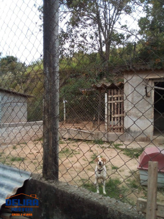 Imagem Chácara com 4 Quartos à Venda, 10 m² em Campininha - Atibaia Imagem Chácara com 4 Quartos à Venda, 10 m² em Campininha - Atibaia
