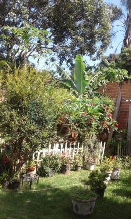 Imagem Imóvel à Venda, em Rural - Jardinopolis Imagem Imóvel à Venda, em Rural - Jardinopolis