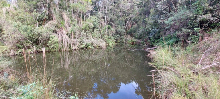 Imagem Chácara com 2 Quartos à Venda, 1 m² em Bateias - Campo Largo