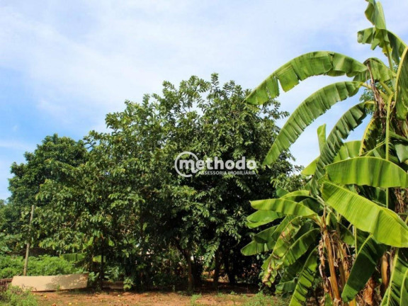 Imagem Chácara com 3 Quartos à Venda, 5.762 m² em Centro - Bálsamo Imagem Chácara com 3 Quartos à Venda, 5.762 m² em Centro - Bálsamo