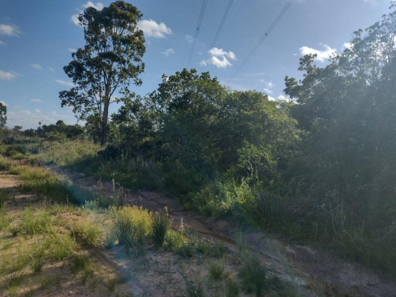 Imagem Terreno à Venda, 20.000 m² em Alto Perequê - Arroio Do Padre