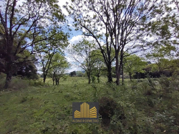 Imagem Fazenda à Venda, 5.000 m² em Linha 40 - Caxias Do Sul Imagem Fazenda à Venda, 5.000 m² em Linha 40 - Caxias Do Sul