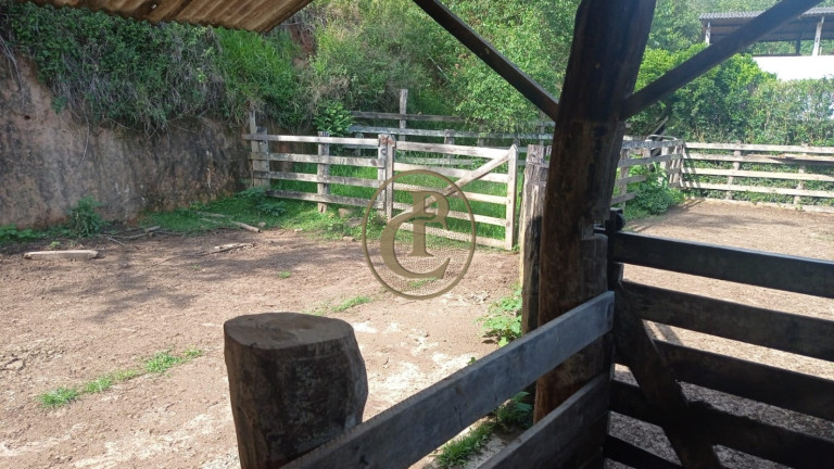 Imagem Fazenda para Alugar, 100 m² em Serrote - Santa Branca Imagem Fazenda para Alugar, 100 m² em Serrote - Santa Branca