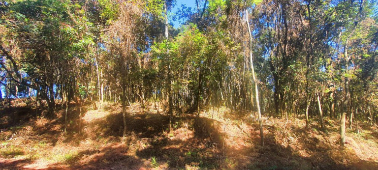 Imagem Imóvel à Venda, 700 m² em Recanto Dos Palmares - Atibaia Imagem Imóvel à Venda, 700 m² em Recanto Dos Palmares - Atibaia