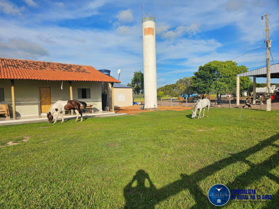 Imagem Fazenda à Venda, 1 m² em Zona Rural - Bom Jardim De Goiás Imagem Fazenda à Venda, 1 m² em Zona Rural - Bom Jardim De Goiás