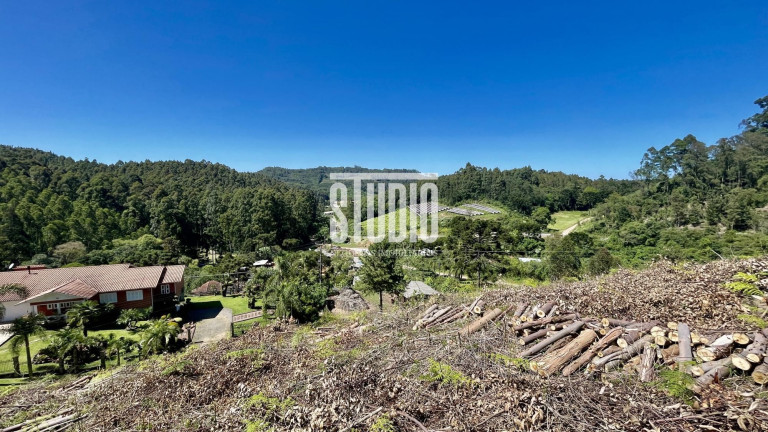 Imagem Terreno à Venda, 11.990 m² em Operário - Barão Imagem Terreno à Venda, 11.990 m² em Operário - Barão