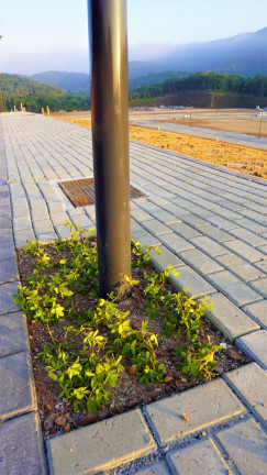 Imagem Imóvel à Venda, 111 m² em Várzea Do Ranchinho - Camboriú Imagem Imóvel à Venda, 111 m² em Várzea Do Ranchinho - Camboriú