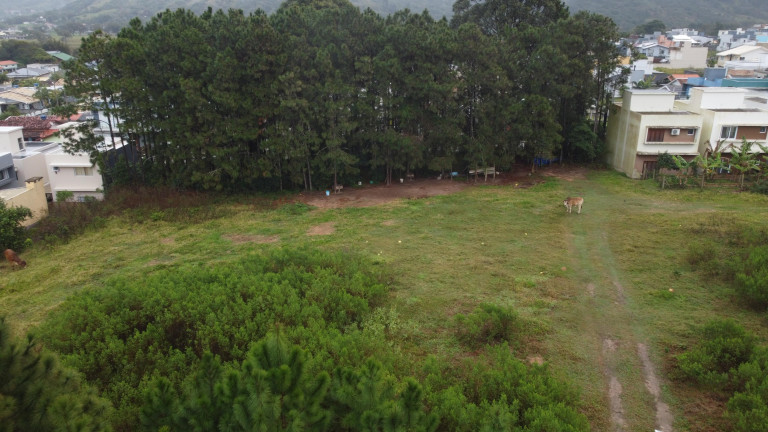 Imagem Terreno à Venda, 687 m² em Ambrósio - Garopaba