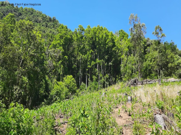 Imagem Imóvel com 2 Quartos à Venda, 50 m² em Linha Pirajá Baixa - Nova Petrópolis Imagem Imóvel com 2 Quartos à Venda, 50 m² em Linha Pirajá Baixa - Nova Petrópolis