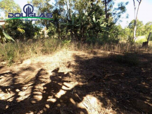 Imagem Imóvel Comercial à Venda, 5.000 m² em águas Claras - Viamão