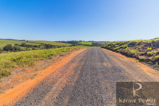 Imagem Terreno à Venda, 3.000 m² em Fazenda São Borja - São Leopoldo