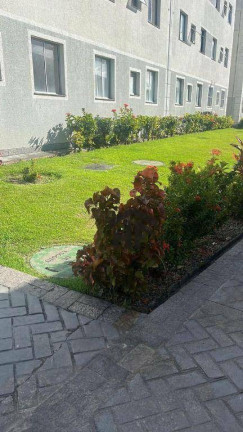 Imagem Apartamento com 2 Quartos à Venda, 42 m² em Piedade - Jaboatão Dos Guararapes