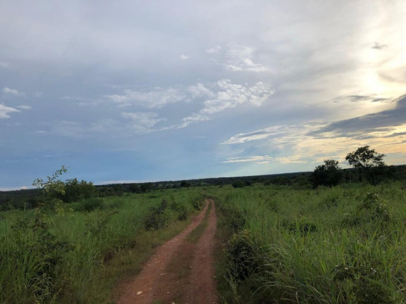 Imagem Fazenda à Venda,  em Rural - Figueirópolis