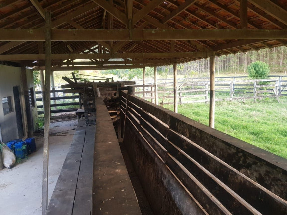 Imagem Fazenda à Venda, 500 m² em Centro - Paraibuna Imagem Fazenda à Venda, 500 m² em Centro - Paraibuna