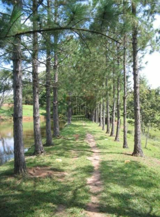 Imagem Imóvel com 5 Quartos à Venda, 80.000 m² em Centro - Jumirim Imagem Imóvel com 5 Quartos à Venda, 80.000 m² em Centro - Jumirim