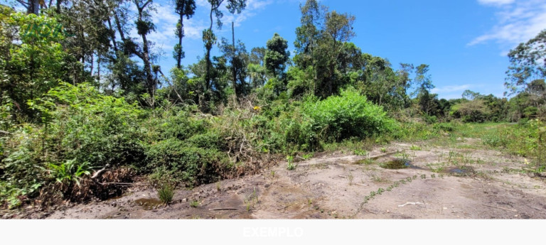Imagem Terreno à Venda, 384 m² em Continental - Itapoá Imagem Terreno à Venda, 384 m² em Continental - Itapoá
