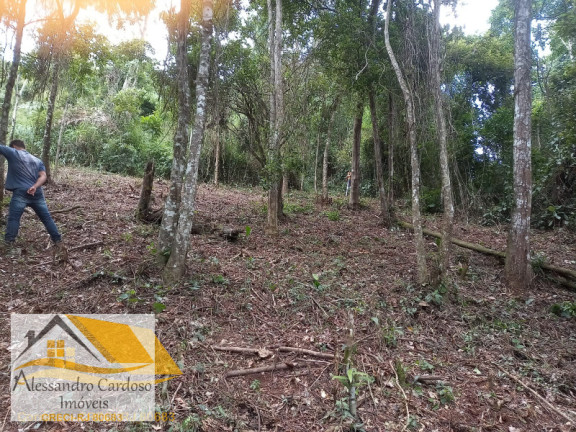 Imagem Terreno à Venda, 1.073 m² em Perissê - Nova Friburgo Imagem Terreno à Venda, 1.073 m² em Perissê - Nova Friburgo