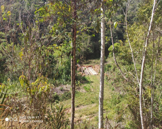 Imagem Imóvel à Venda, 2.500.000 m² em Fazenda Bela Vista - Nova Friburgo