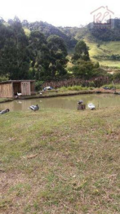 Imagem Fazenda à Venda, 479.160 m² em Catuçaba - São Luiz Do Paraitinga Imagem Fazenda à Venda, 479.160 m² em Catuçaba - São Luiz Do Paraitinga