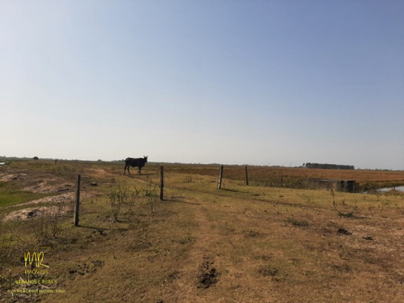 Imagem Imóvel à Venda, 48 m² em Dores De Macabu - Campos Dos Goytacazes Imagem Imóvel à Venda, 48 m² em Dores De Macabu - Campos Dos Goytacazes