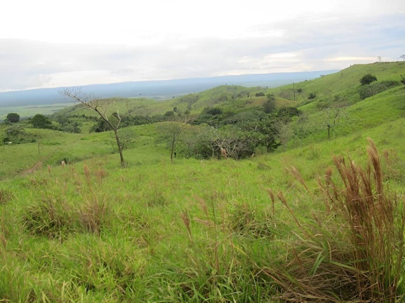 Imagem Fazenda à Venda, 2.541 m² em Centro - Pontes E Lacerda Imagem Fazenda à Venda, 2.541 m² em Centro - Pontes E Lacerda